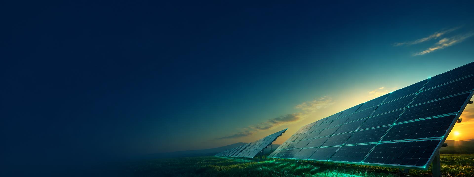 Rows of solar photovoltaic panels at sunrise